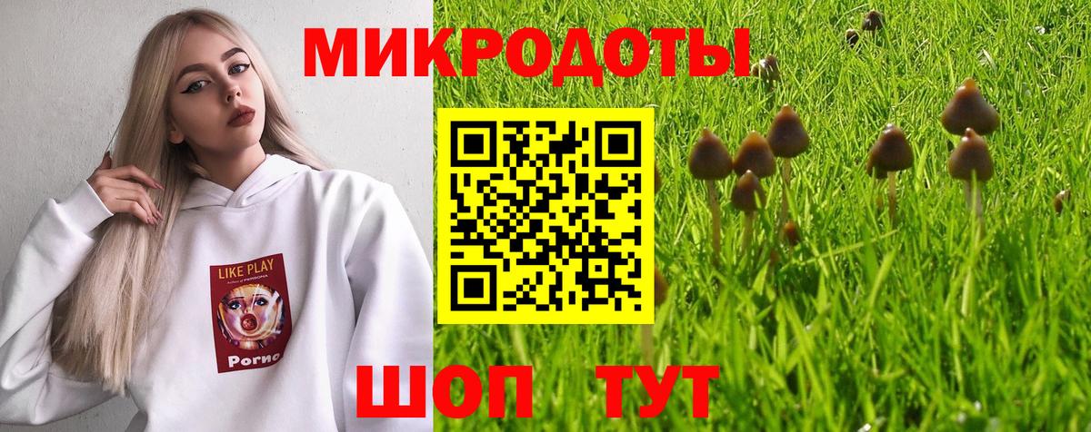 Галлюциногенные грибы GOLDEN TEACHER Ивантеевка